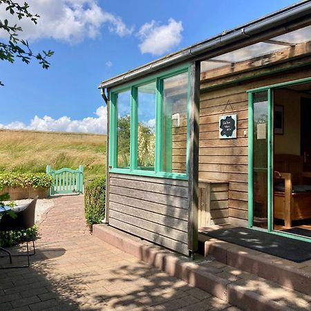 4 Pers Holiday Home Hilla With Winter Garden In Front Of The Dike Directly On The Lauwersmeer Anjum ภายนอก รูปภาพ